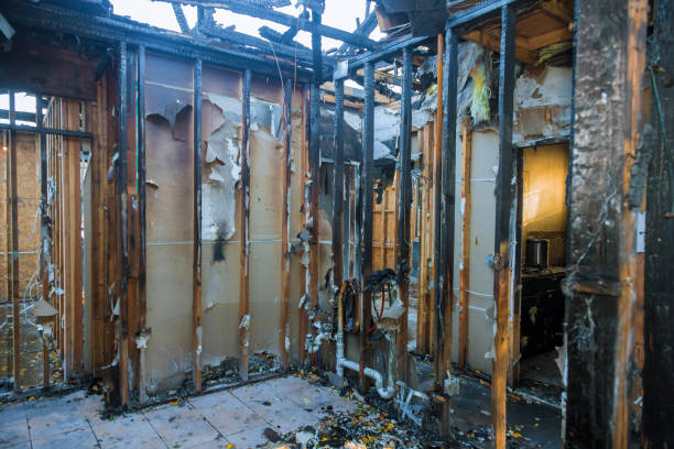 Professional Fire Damage Assessment technician working in Scandia, MN
