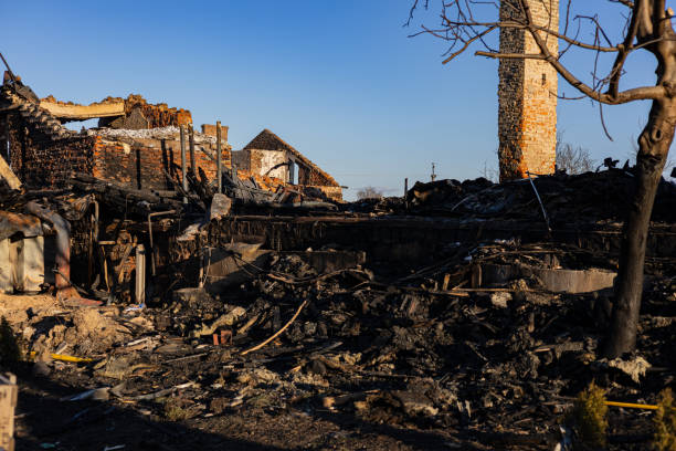 Reliable Fire Damage Assessment contractor in Scandia, MN by Fire Damage Doption