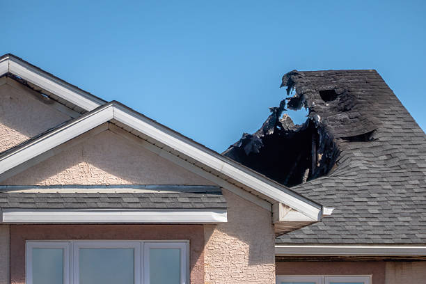 Top rated local Fire Damage Assessment specialists in Scandia, MN
